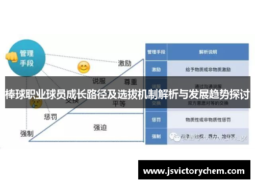 棒球职业球员成长路径及选拔机制解析与发展趋势探讨