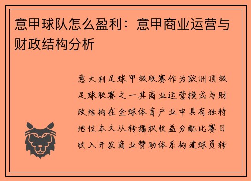 意甲球队怎么盈利：意甲商业运营与财政结构分析
