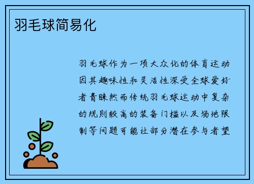 羽毛球简易化