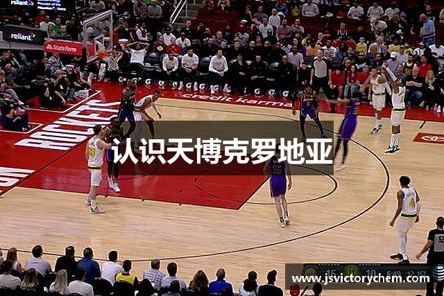 认识天博克罗地亚